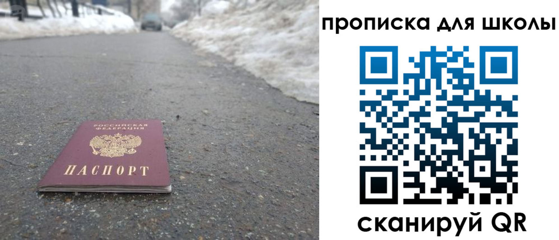 прописка для школы в Сочи